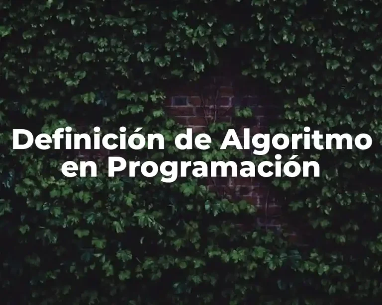 Definición de Algoritmo en Programación
