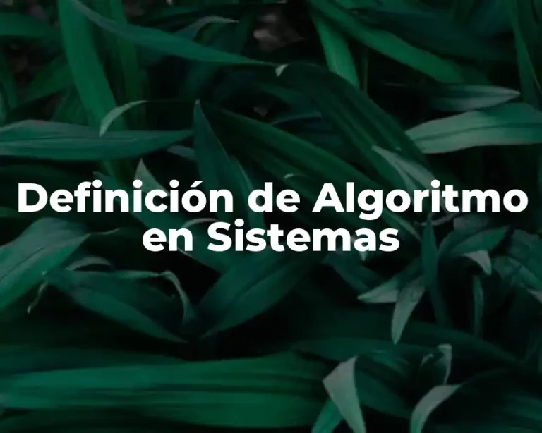 Definición de Algoritmo en Sistemas