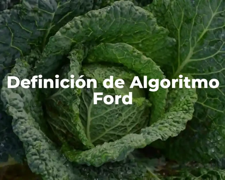 Definición de Algoritmo Ford