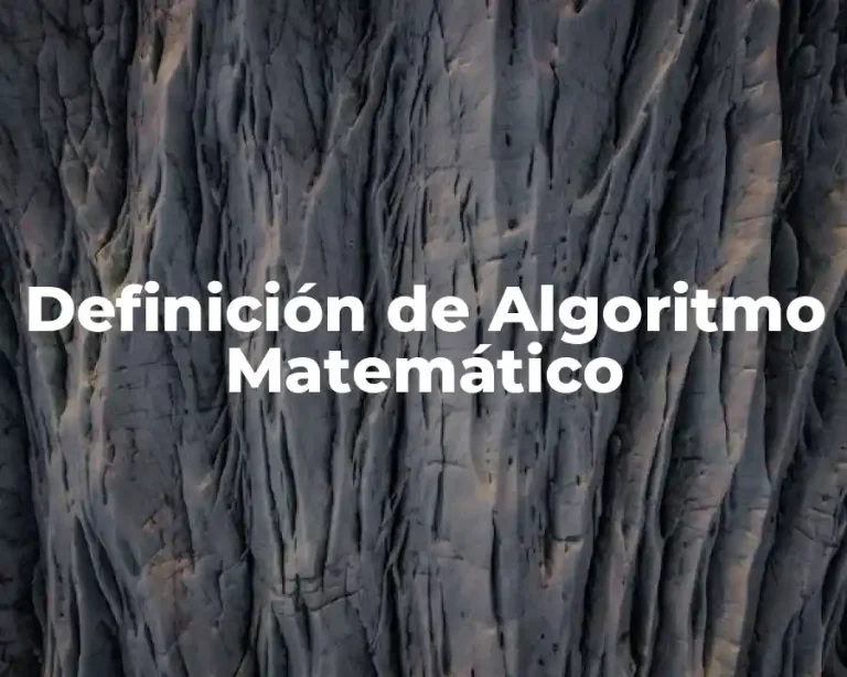 Definición de Algoritmo Matemático