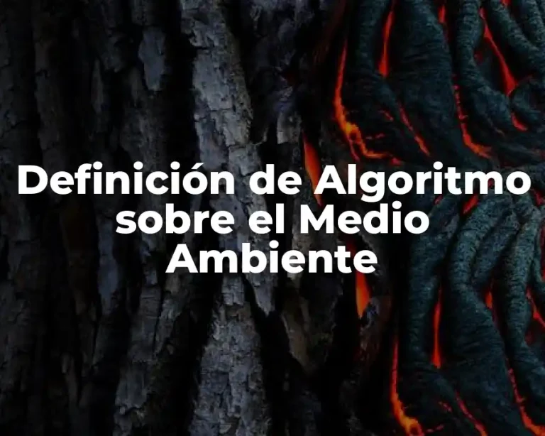 Definición de Algoritmo sobre el Medio Ambiente