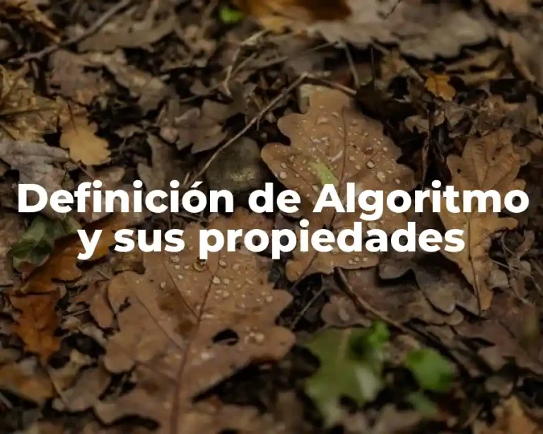 Definición de Algoritmo y sus propiedades