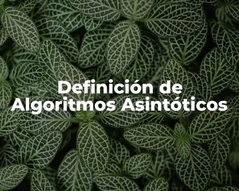 Definición de Algoritmos Asintóticos