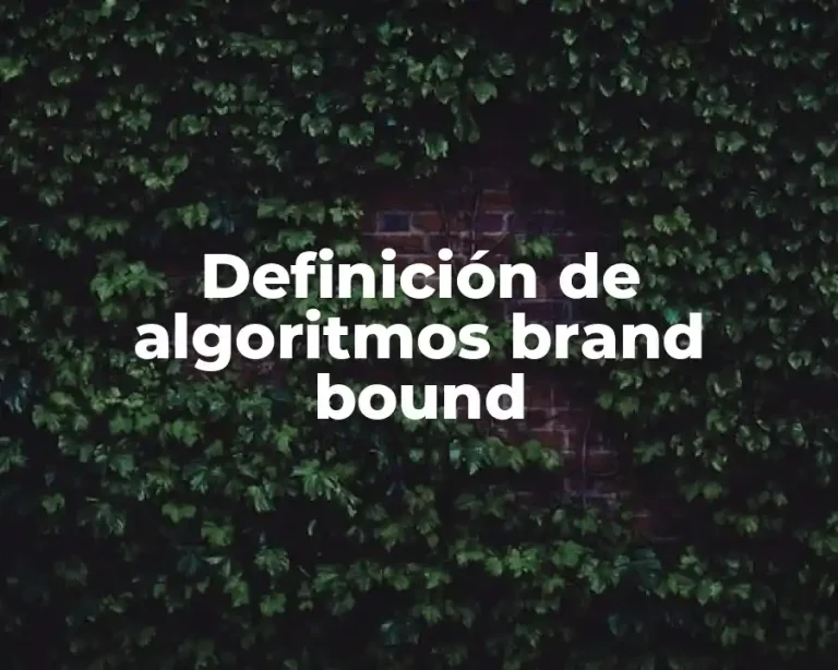 Definición de algoritmos brand bound