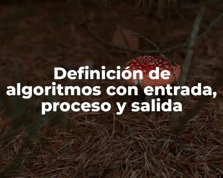 Definición de algoritmos con entrada, proceso y salida