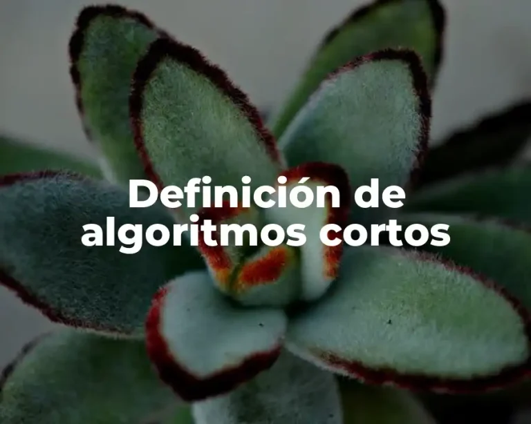 Definición de algoritmos cortos