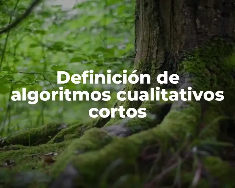 Definición de algoritmos cualitativos cortos