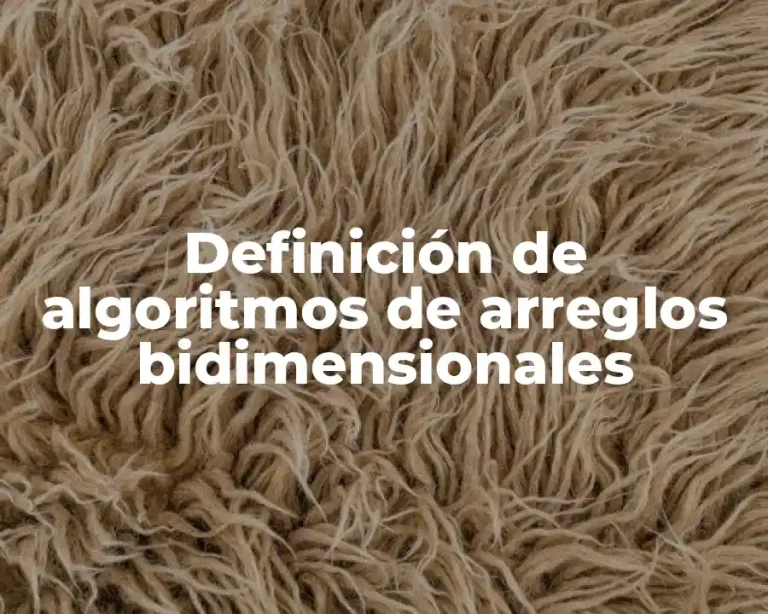 Definición de algoritmos de arreglos bidimensionales