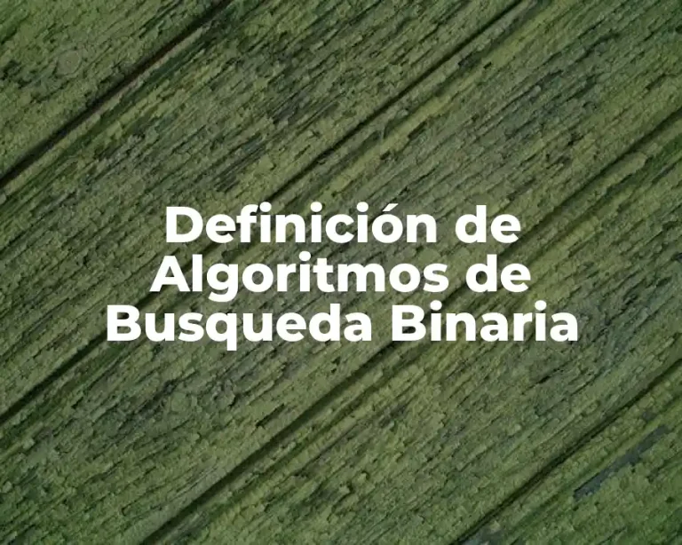 Definición de Algoritmos de Busqueda Binaria