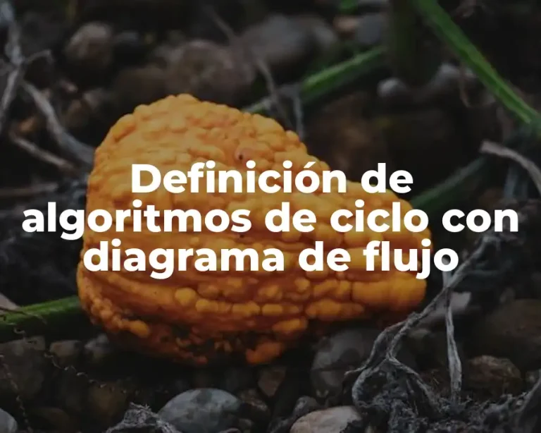 Definición de algoritmos de ciclo con diagrama de flujo