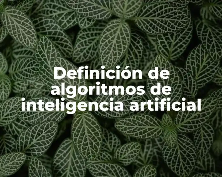 Definición de algoritmos de inteligencia artificial