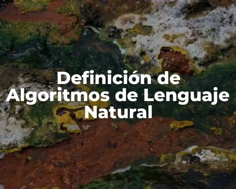 Definición de Algoritmos de Lenguaje Natural