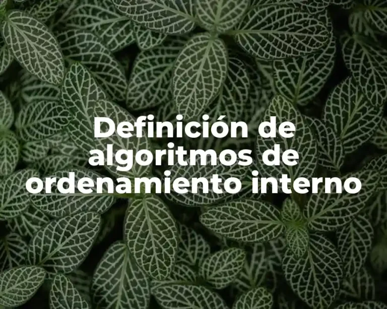 Definición de algoritmos de ordenamiento interno