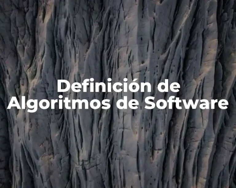 Definición de Algoritmos de Software