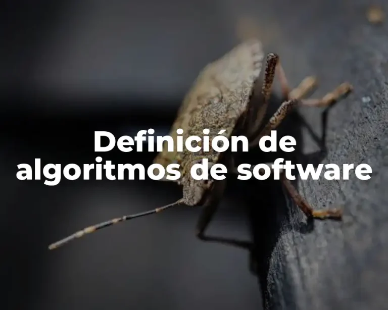 Definición de algoritmos de software