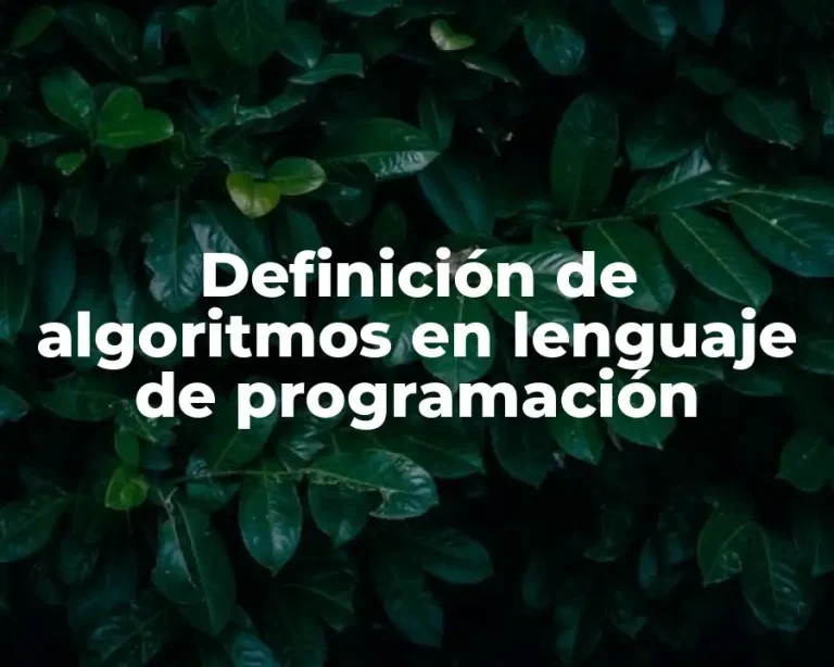 Definición de algoritmos en lenguaje de programación