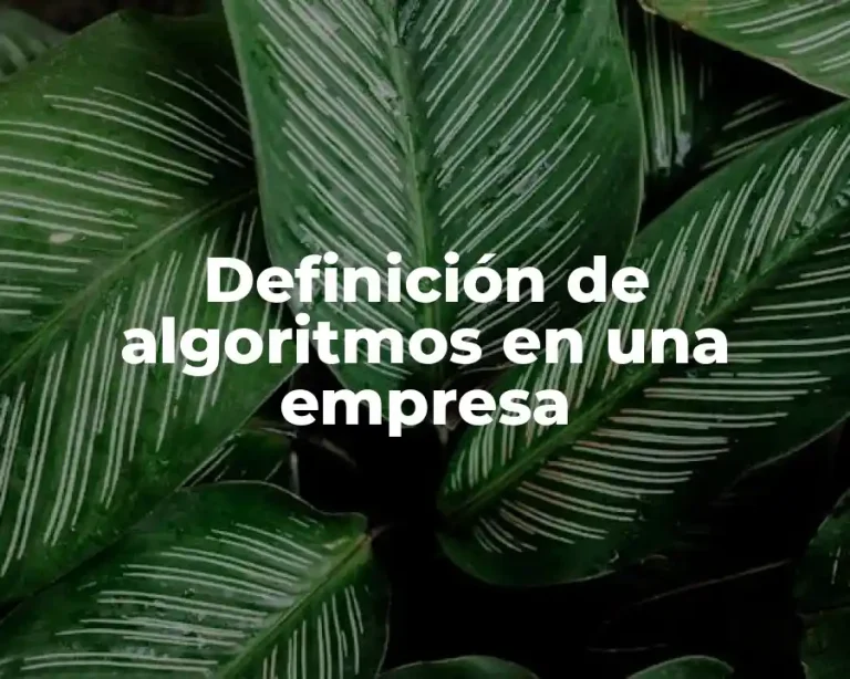 Definición de algoritmos en una empresa