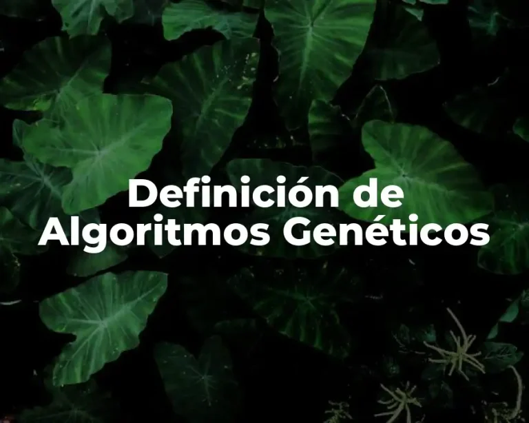 Definición de Algoritmos Genéticos