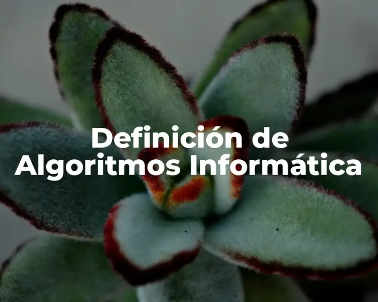 Definición de Algoritmos Informática