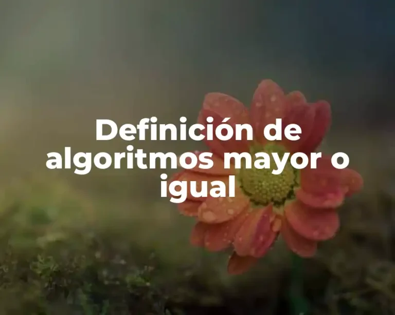 Definición de algoritmos mayor o igual