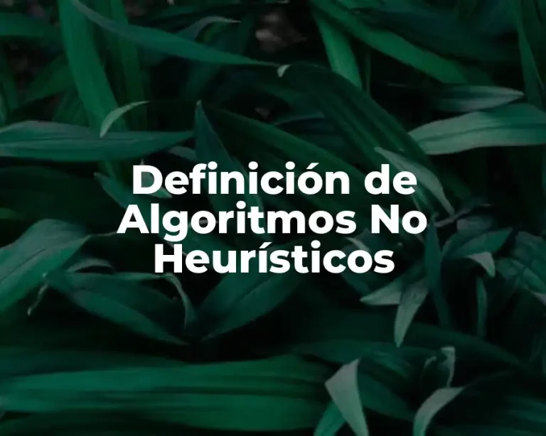Definición de Algoritmos No Heurísticos