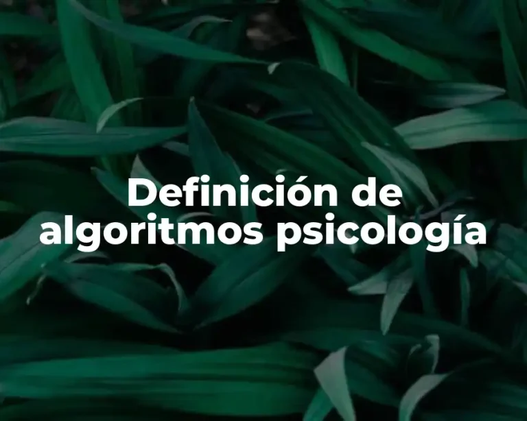 Definición de algoritmos psicología