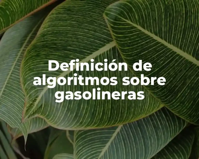 Definición de algoritmos sobre gasolineras
