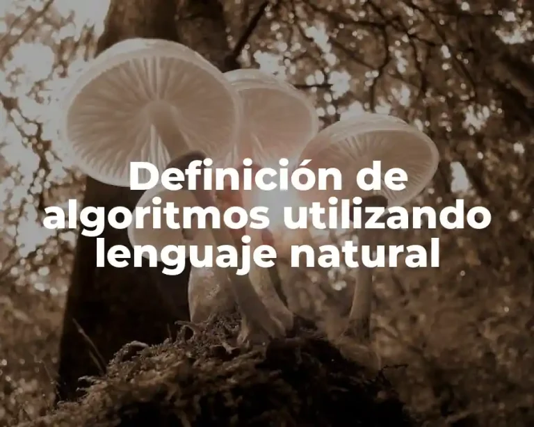 Definición de algoritmos utilizando lenguaje natural