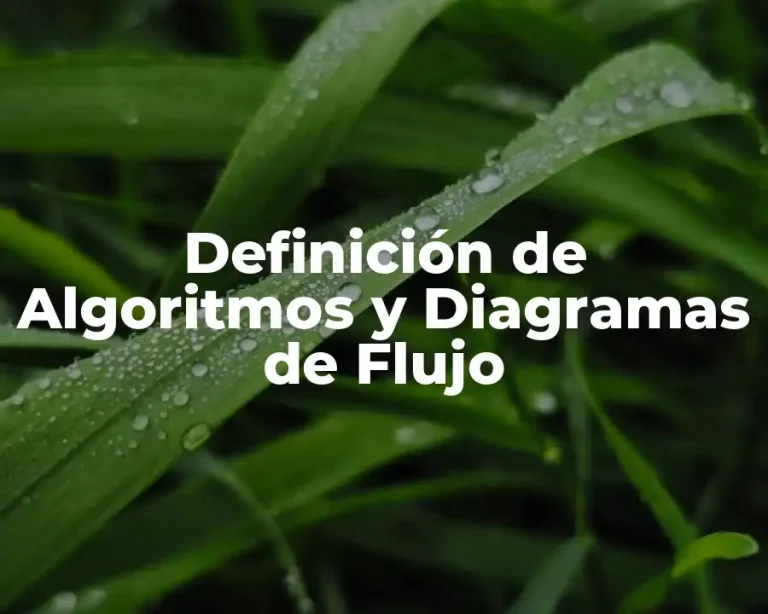 Definición de Algoritmos y Diagramas de Flujo