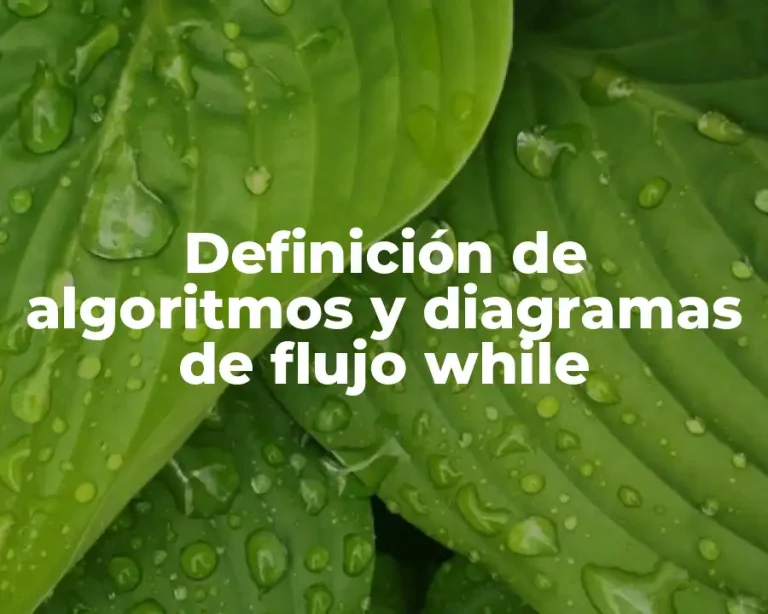 Definición de algoritmos y diagramas de flujo while