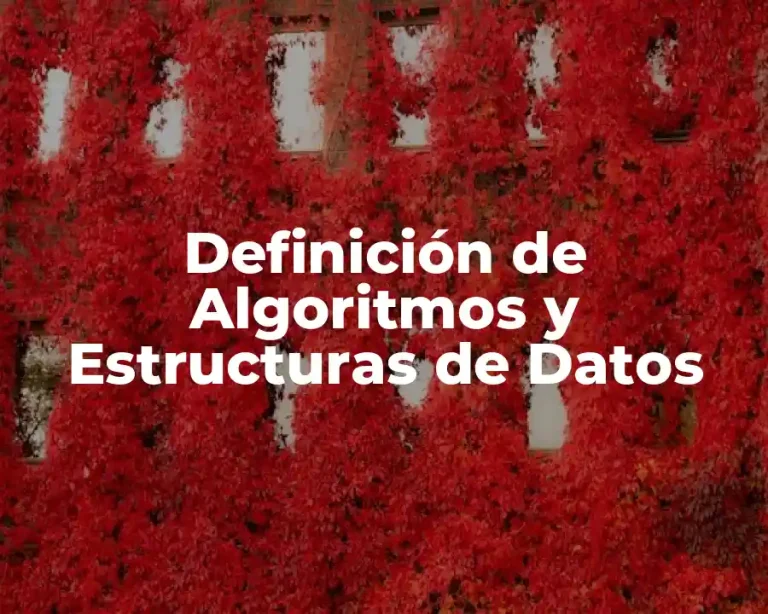 Definición de Algoritmos y Estructuras de Datos