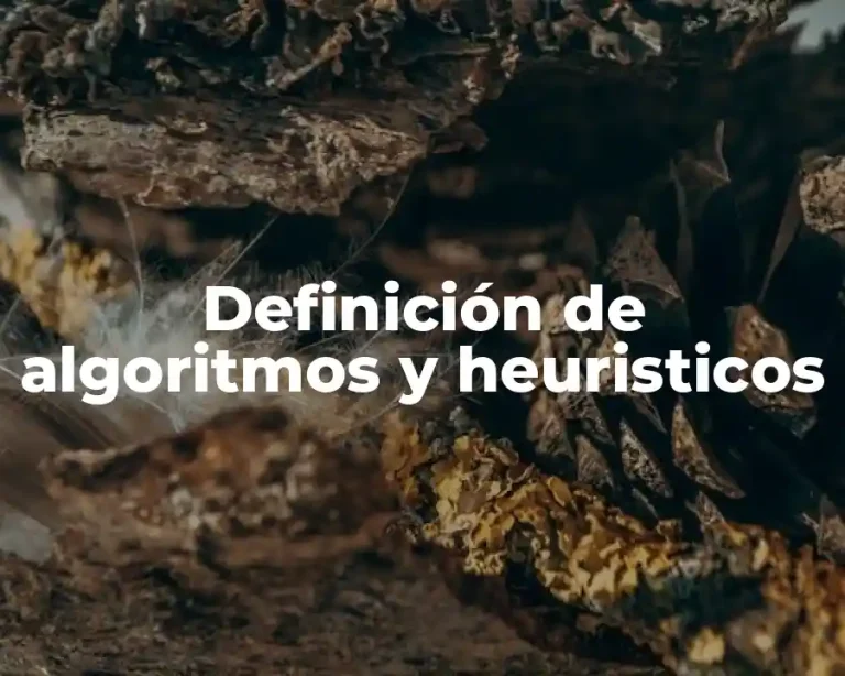 Definición de algoritmos y heuristicos