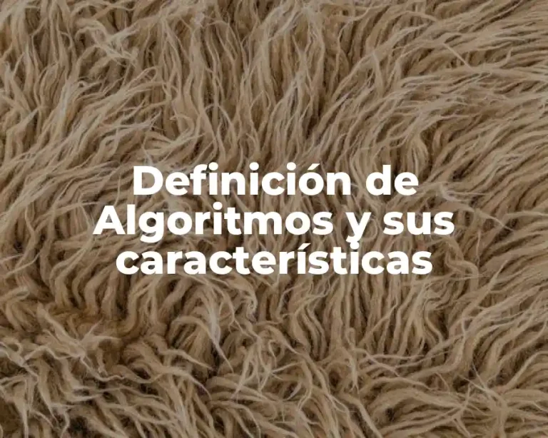 Definición de Algoritmos y sus características
