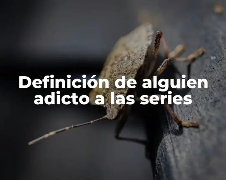 Definición de alguien adicto a las series