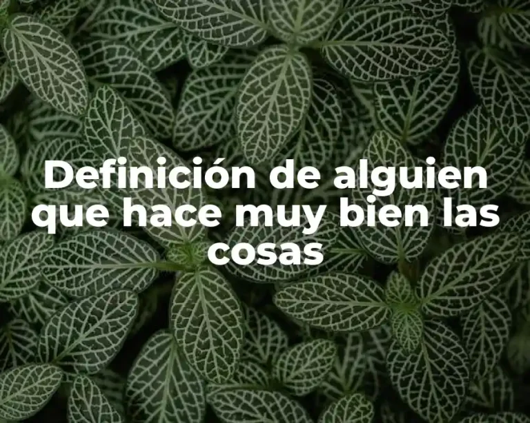 Definición de alguien que hace muy bien las cosas