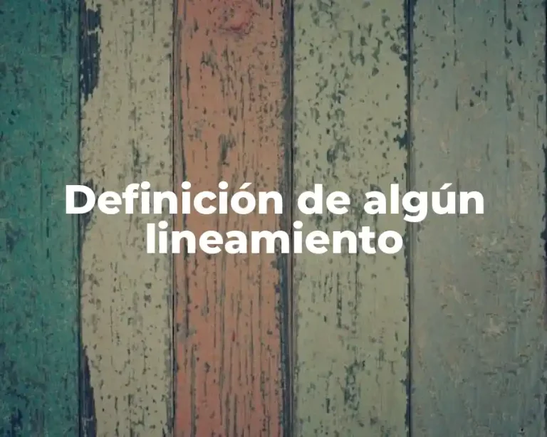 Definición de algún lineamiento