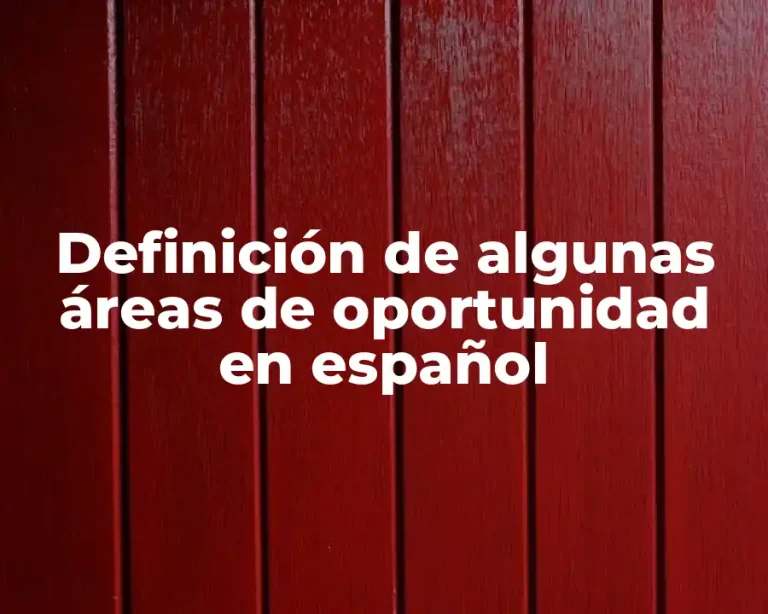 Definición de algunas áreas de oportunidad en español
