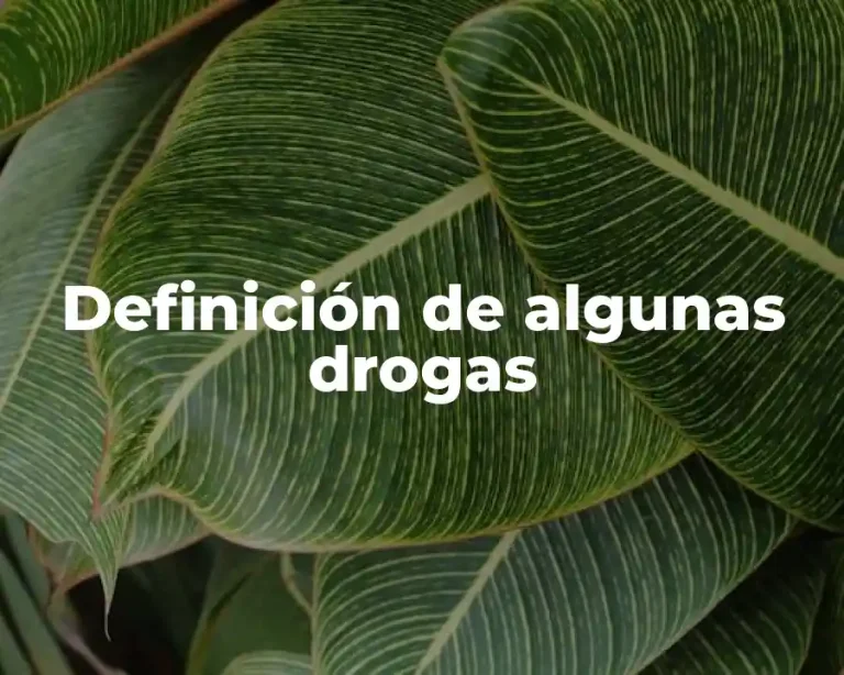 Definición de algunas drogas
