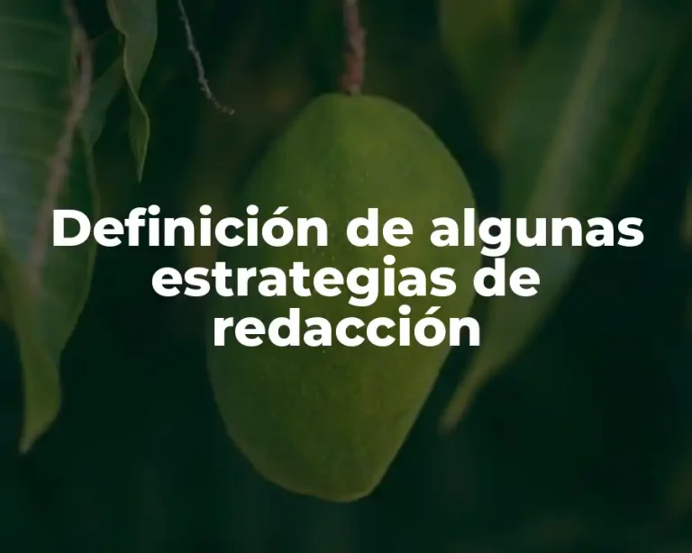 Definición de algunas estrategias de redacción