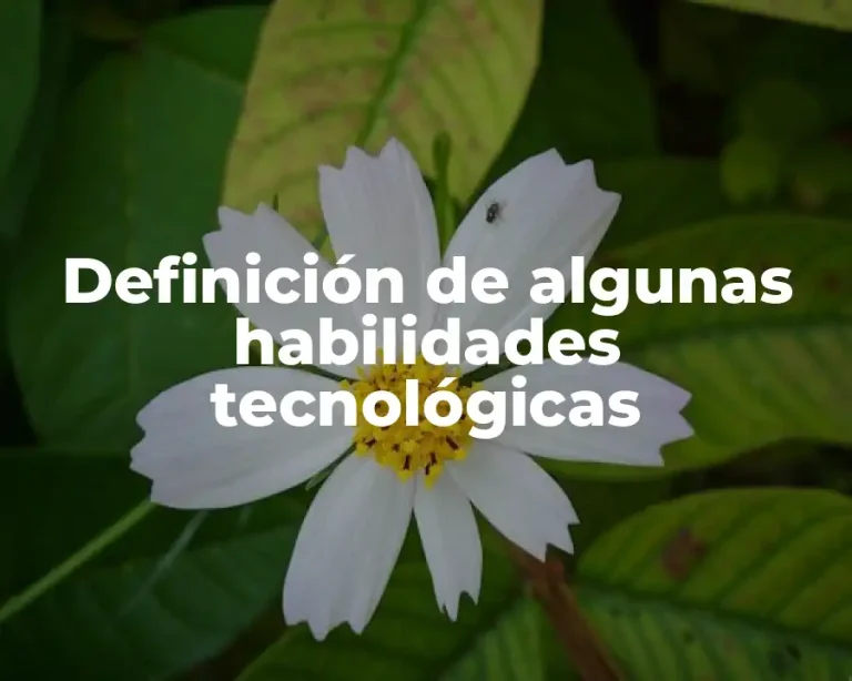 Definición de algunas habilidades tecnológicas