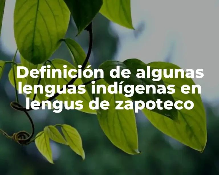 Definición de algunas lenguas indígenas en lengus de zapoteco