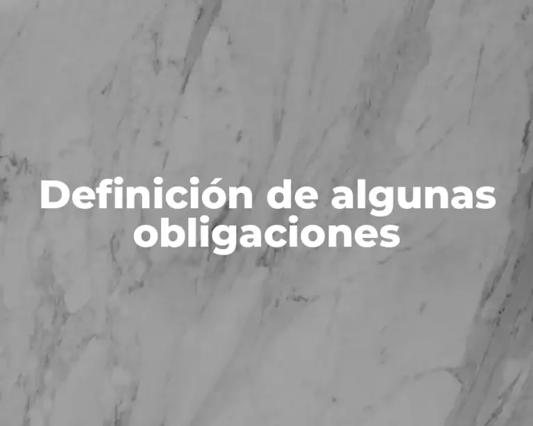 Definición de algunas obligaciones