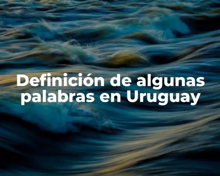 Definición de algunas palabras en Uruguay
