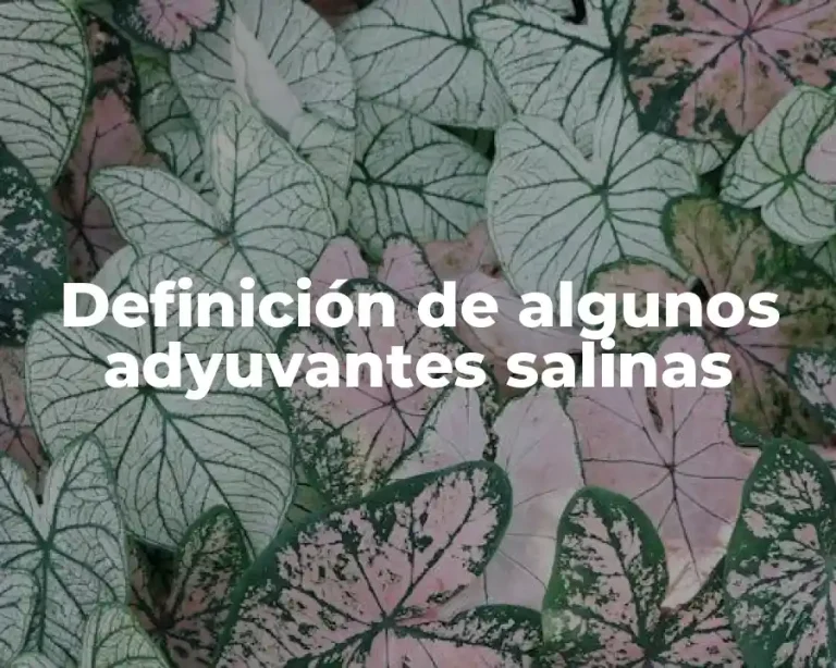 Definición de algunos adyuvantes salinas