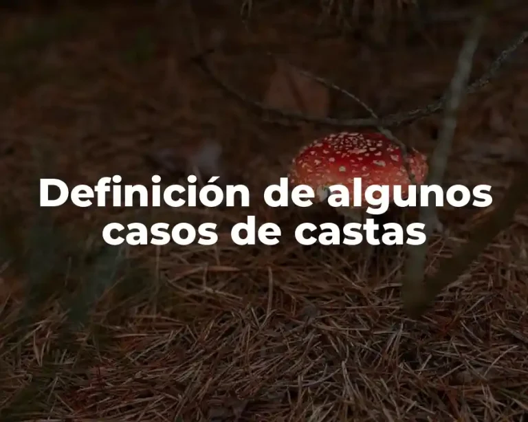 Definición de algunos casos de castas
