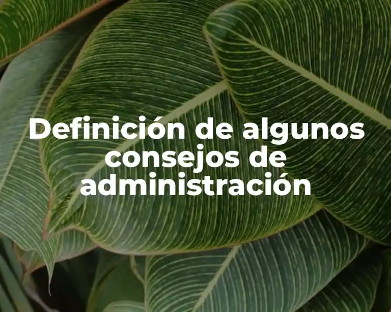 Definición de algunos consejos de administración