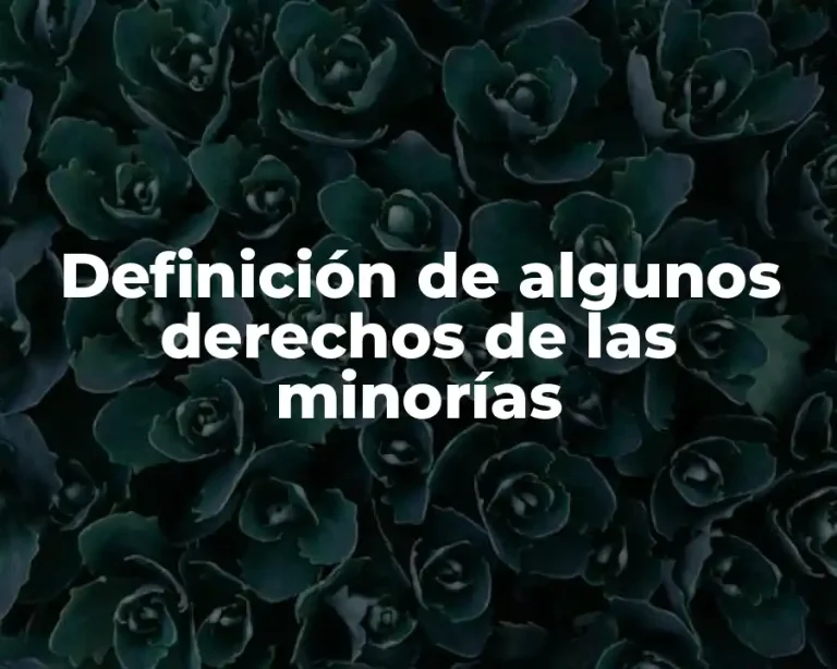 Definición de algunos derechos de las minorías