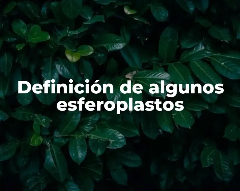 Definición de algunos esferoplastos