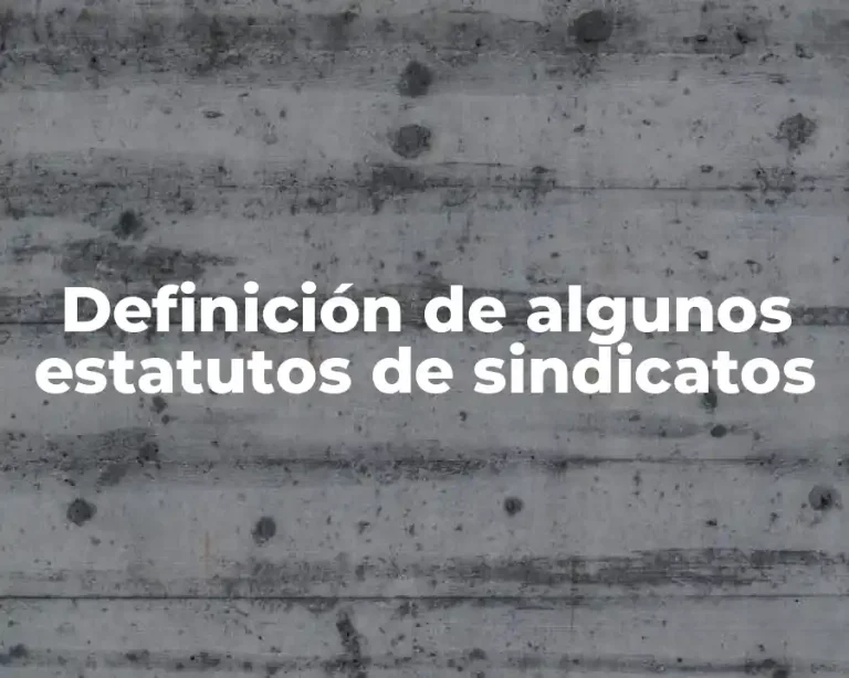 Definición de algunos estatutos de sindicatos