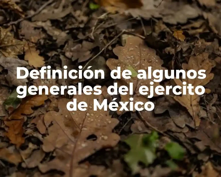Definición de algunos generales del ejercito de México